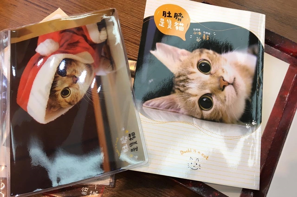 網路萌貓肚臍的第一本圖文寫真書「肚臍是隻貓」（攝影：曾鈺婷）