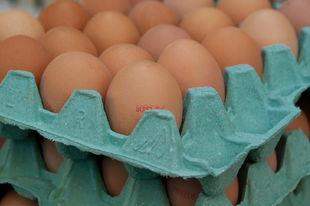 農委會2年前為了防疫，修訂《動物傳染病防治條例》，其中第14條規定「裝載生鮮禽蛋，應使用一次性之裝載容器或包材」，也就是必須使用洗選塑膠包裝或紙盤包裝來盛裝生鮮雞蛋，24日起若未依法盛裝，不論市場端或產銷業者，都將開罰3至15萬元。（翻攝自pixabay）