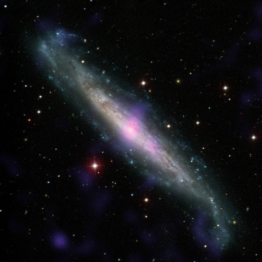 螺旋星系「NGC 1448」。（Carnegie-Irvine Galaxy Survey/NASA/JPL-Caltech）