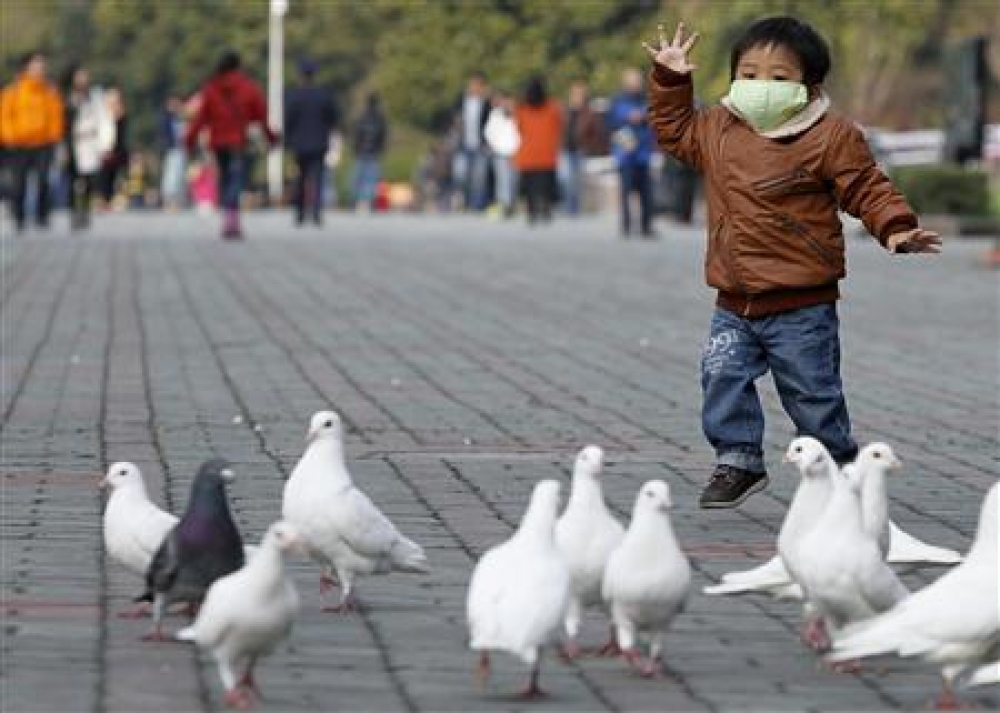 為防民眾感染禽流感病毒，台中市建設局呼籲民眾，禁止餵食野鴿，經勸不理最高罰1萬元。（湯森路透）