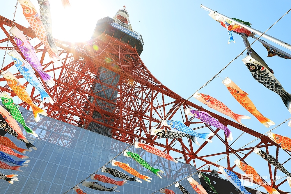東京鐵塔在每年四月底開始，都會在玄關前廣場，掛上333條的鯉魚旗，相當壯觀。（攝影：陳威臣）