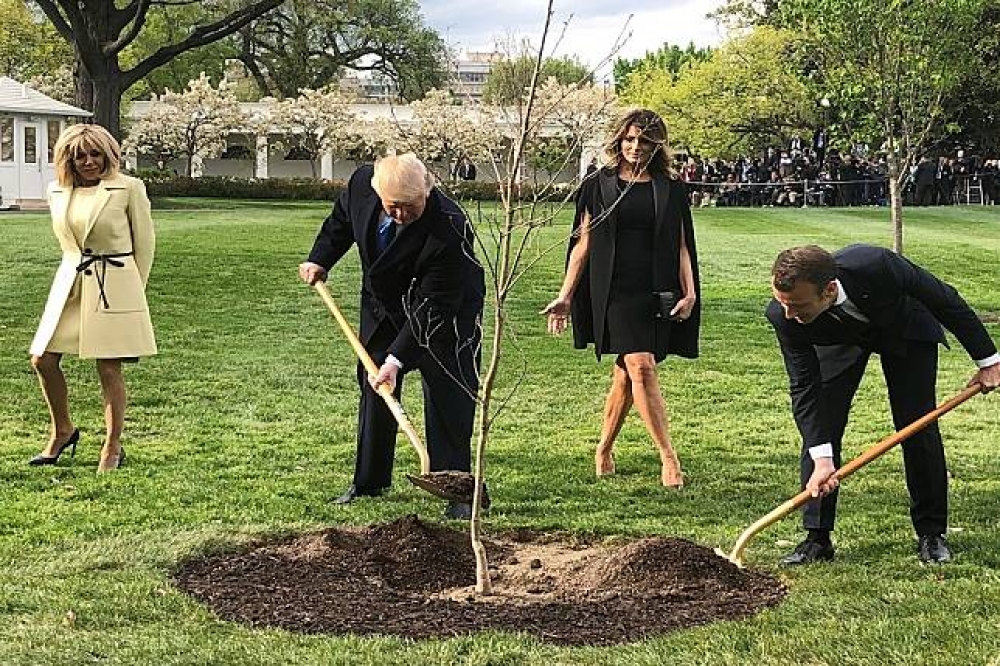 法國總統馬卡洪與美國總統川普23日一同種下一棵小樹。（湯森路透）