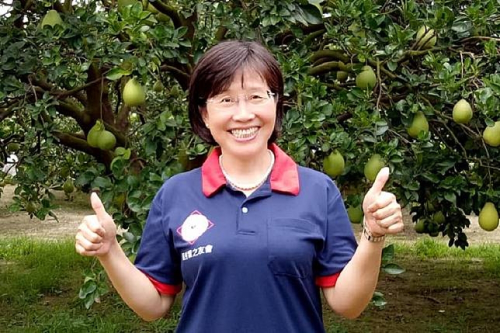 前台南大學校長黃秀霜，19日宣布將正式投入2018台南市長選舉。（取自黃秀霜臉書）