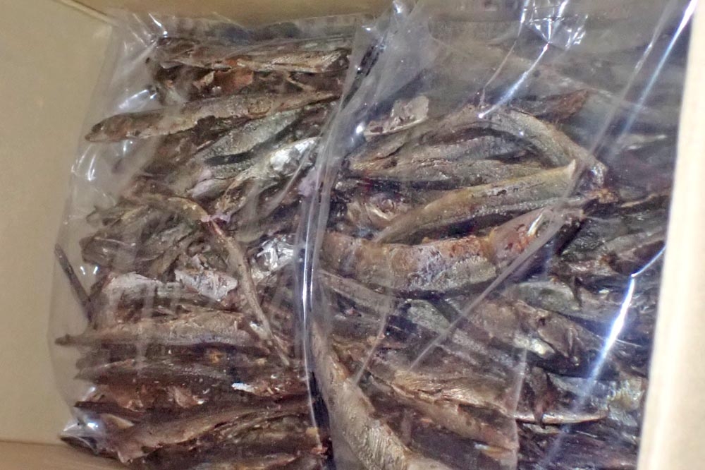 日本進口焙乾秋刀魚節，被檢出1級致癌物「苯(a)駢芘」，且超標40倍。（食藥署提供）