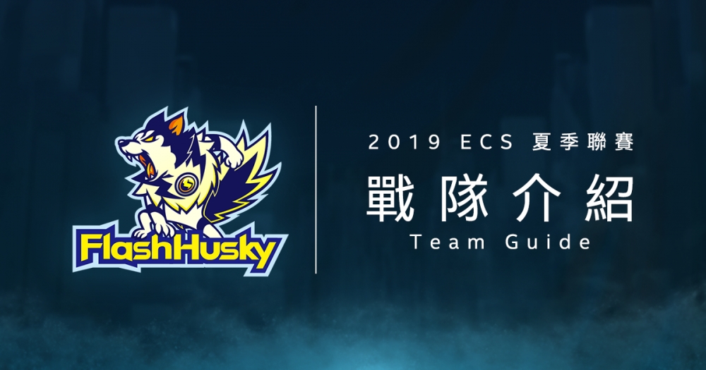 2019 ECS 夏季職業聯賽將在 6/3 開打，讓魚丸XD來介紹一下各支戰隊的狀況吧！