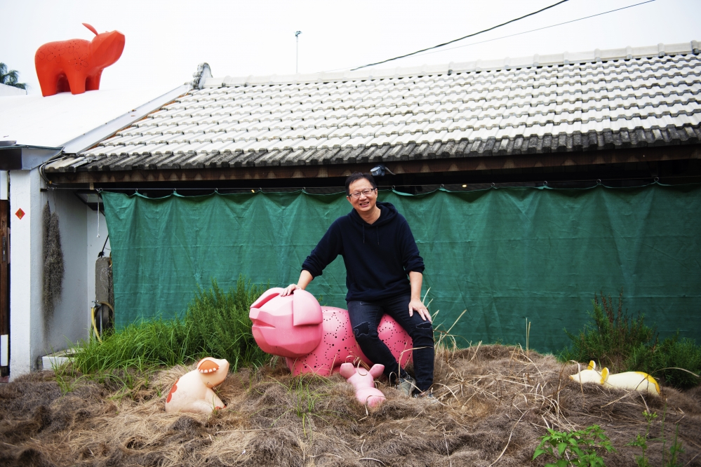 「永隆牧場」負責人張勝哲是台灣首次自行育成純種綿羊豬的幕後推手。（陳沛妤攝）
