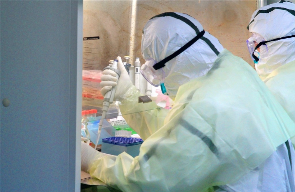 國衛院傳來好消息，宣布成功以SARS抗體研發出可以檢測武漢肺炎的快篩試劑。（取自中新社）
