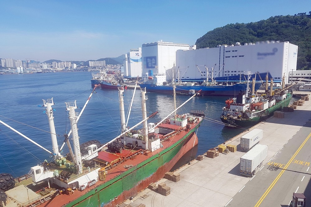 韓國釜山港存放大量硝酸銨，並且有俄籍漁船爆發群體感染新冠肺炎。（湯森路透）
