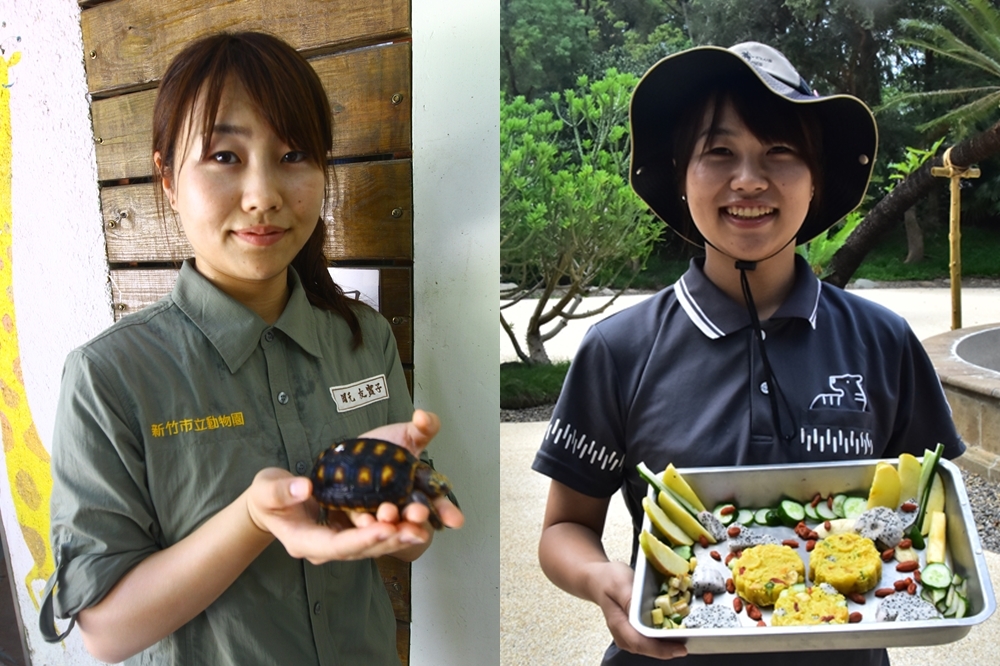 受新竹市立動物園「再生計畫」的吸引，29歲日本女孩Yumi隻身來到台灣工作（岡元友實子提供）