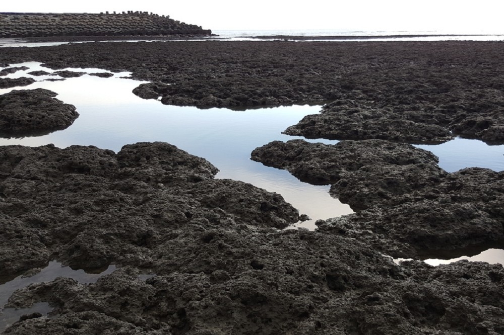 ㄧ般民眾認為桃園海岸的問題首重在環境清潔與污染防治，藻礁保護的相關作為已經相當足夠，若要再度提升桃園海岸的保護等級，則傾向輕度保護與管制。（圖片摘自珍愛藻礁推動聯盟網站）