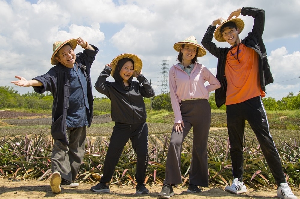 許效舜（左起）、呂雪鳳、劉品言、宋偉恩近日參加實境節目《花甲少年趣旅行》到台南下田割鳳梨。（東森提供）