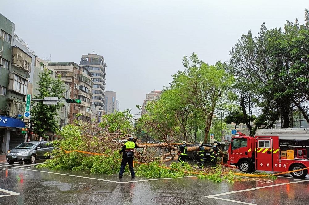 大雨襲擊台北市，造成民生社區內一處路樹倒塌。（翻攝畫面）