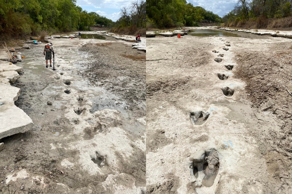 美國德州河流乾涸露出恐龍足跡（取自推特@PhilstarNews）
