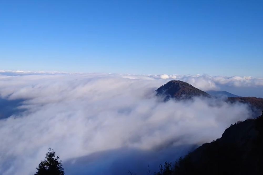 太平山的望洋山步道終點，今天也出現雲海美景。（擷取自太平山國家森林遊樂區臉書粉專）