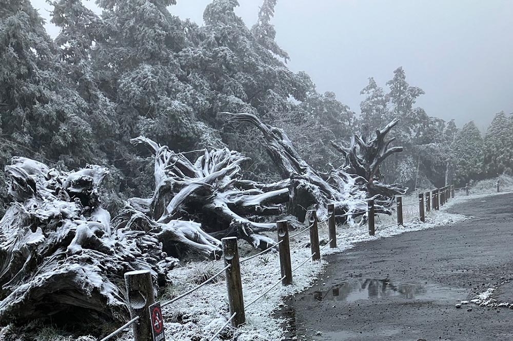 寒流來襲，高山有機會下雪，公路局提出6注意路段。圖為太平山降雪畫面。（資料照片／民眾提供）