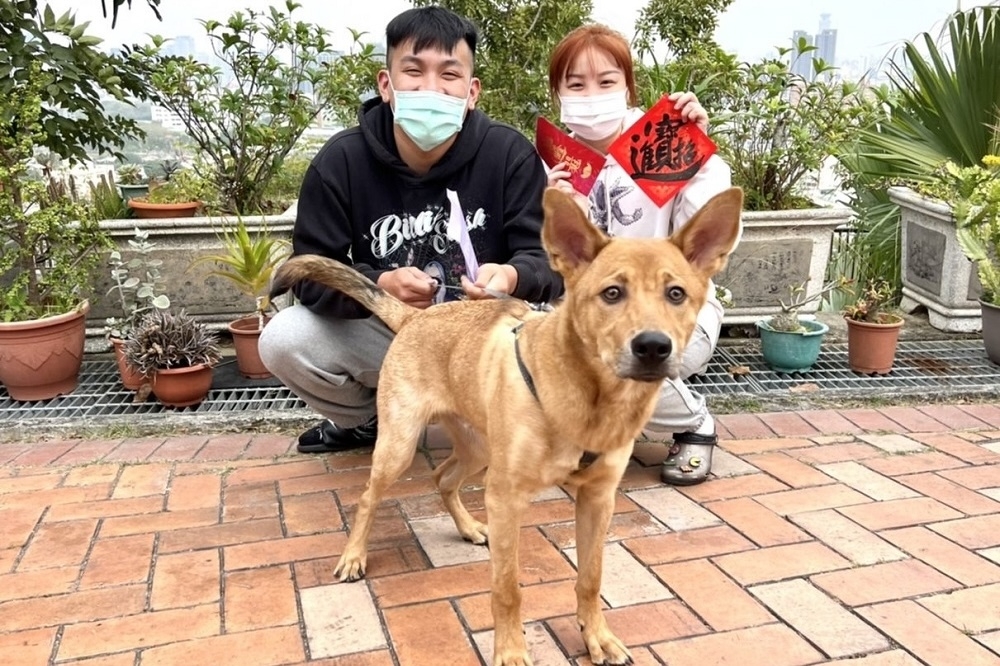 參加犬貓試養企劃者除贈送犬貓認養嫁妝等好禮外，現場再加碼贈送新春門聯一幅。(高市農業局提供)