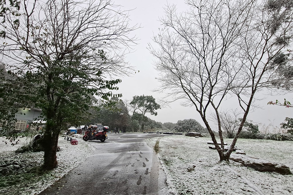 民眾直擊烏來967高地降下白雪，十分興奮。（讀者蔡豊城提供）