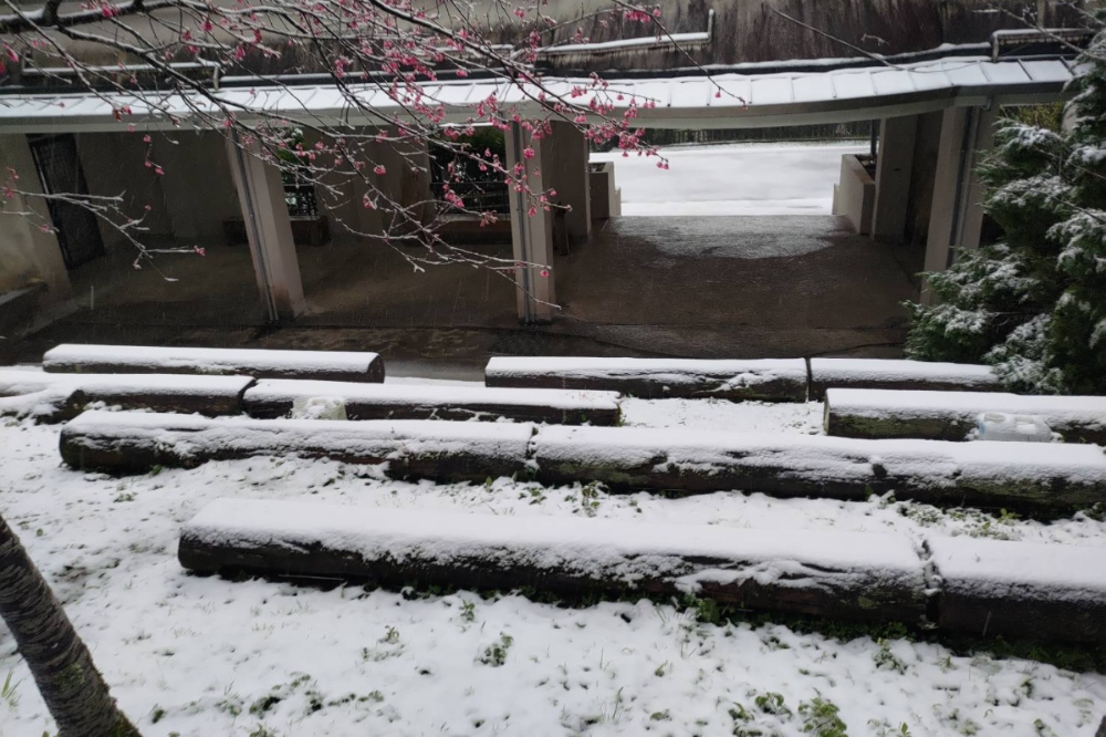 最強寒流來襲，拉拉山和東眼山出現雪景。（林業保育署新竹分署提供）