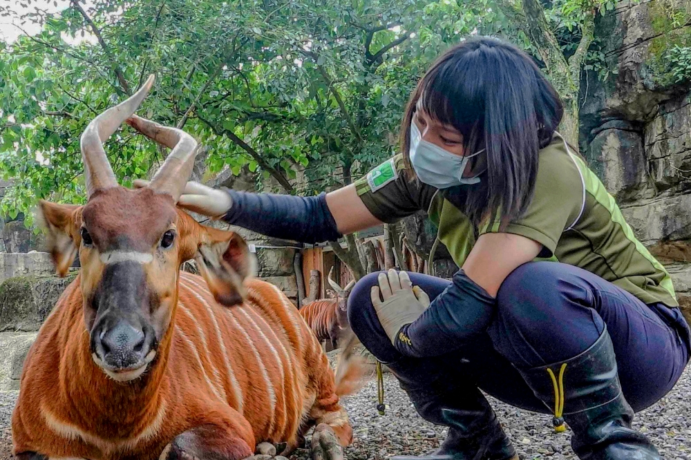 蔣萬安宣布替台北市動物園保育員加薪，超過200名工作夥伴受惠。（取自Taipei Zoo 臺北市立動物園臉書）