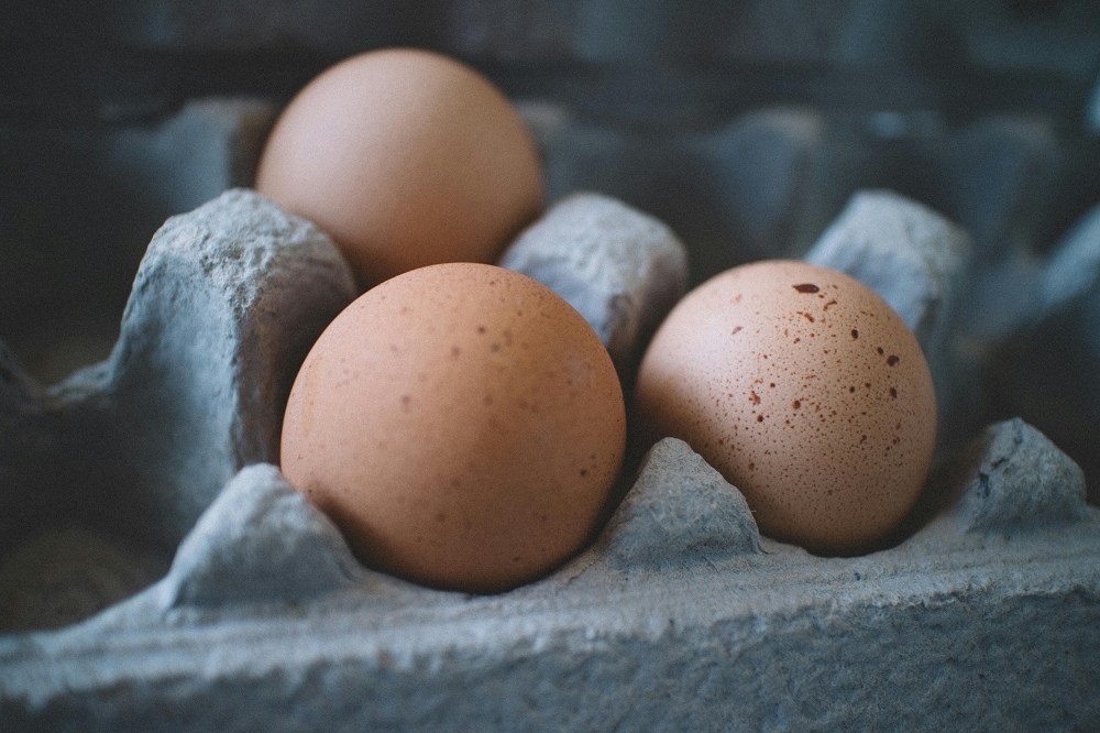 全球各地禽流感疫情再度肆虐，使國際蛋價再次飆漲。（取自Pixabay）