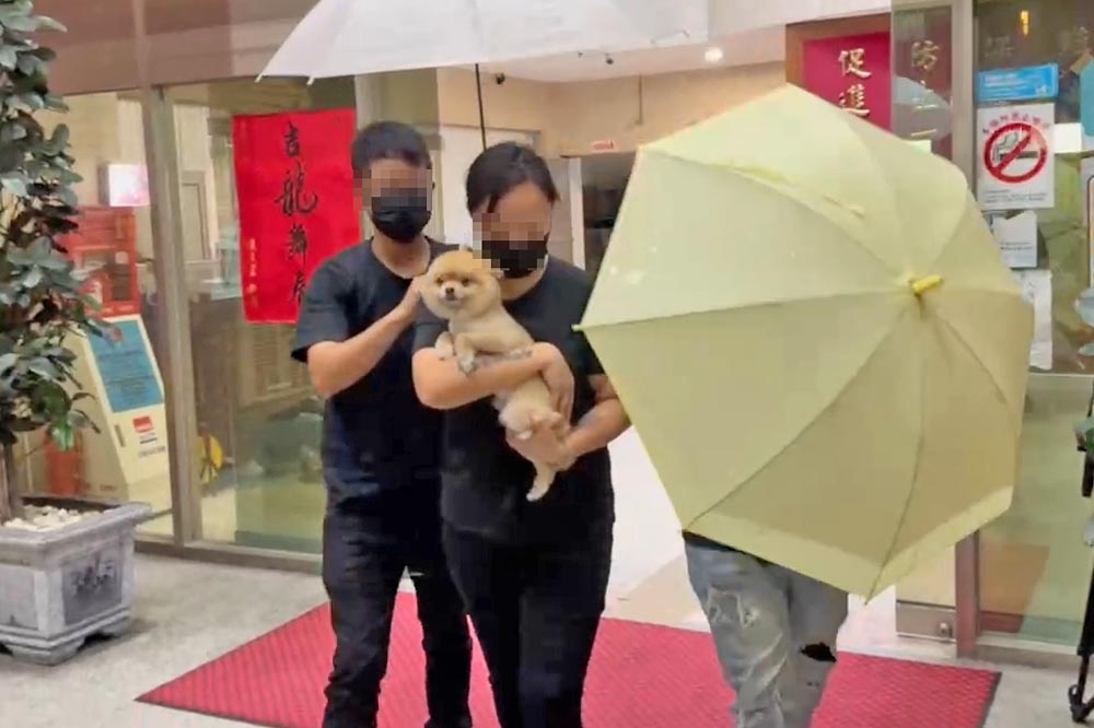 兇嫌妻子的姊姊昨天赴警局將家人的愛犬「糯米」接回家中照顧。（翻攝畫面）