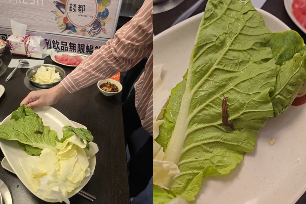 有民眾在錢都內湖IKEA店用餐時，發現有一隻活生生的蛞蝓在白菜上蠕動。（合成畫面／取自Dcard）
