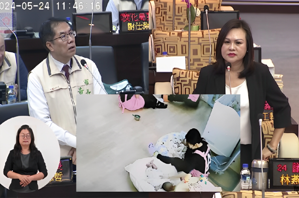 台南市議員林燕祝今天在市政總質詢爆料，位於安平區一家托嬰中心保母，餵奶拍嗝時竟猛力重拍寶寶的背部疑似虐嬰。（擷取自台南市議會直播） 
