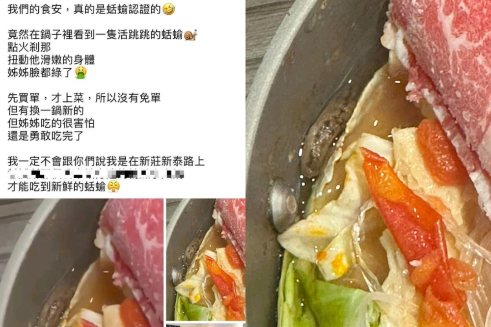 有民眾在臉書發文指出，在新北市新莊新泰路上的「鍋媽」火鍋店用餐時，發現鍋內有一隻正在蠕動的蛞蝓。（取自爆料公社）