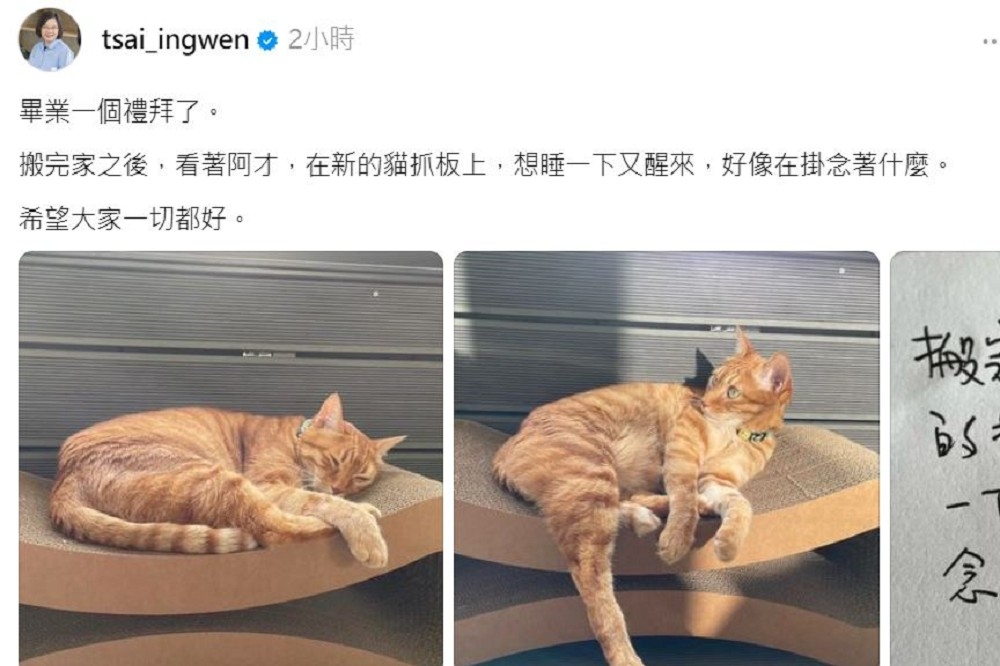 卸任後神隱數日的蔡英文，27日PO出愛貓「蔡阿才」照片，自比生活如貓，並不時牽掛著台灣的大小事。（取自蔡英文Threads）