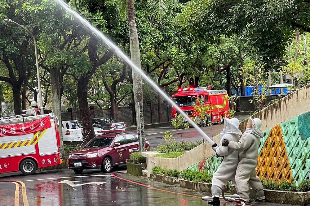 消防隊到場後以水柱擊落虎頭蜂巢，以免其他人受害。（翻攝畫面）