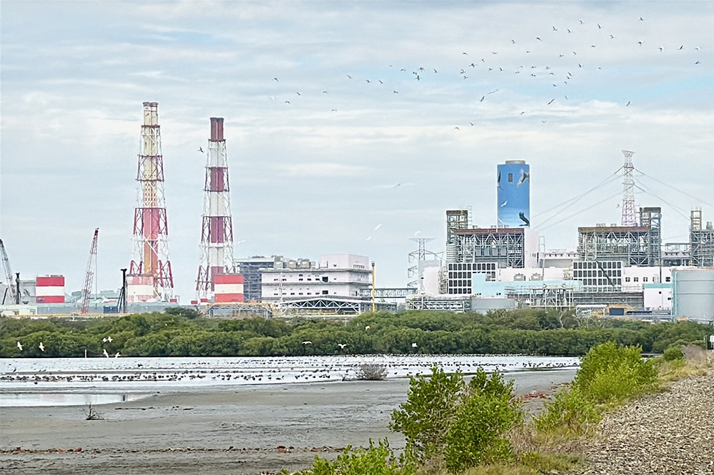 台電投入高雄永安濕地保育逾 10 年，打造為適合候鳥棲息、覓食的「水鳥大飯店」。（台電提供）