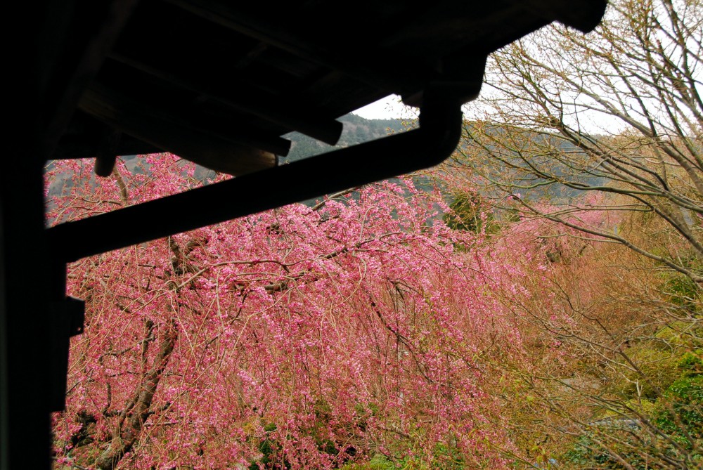 Hakone Kowakien Mikawaya Ryokan