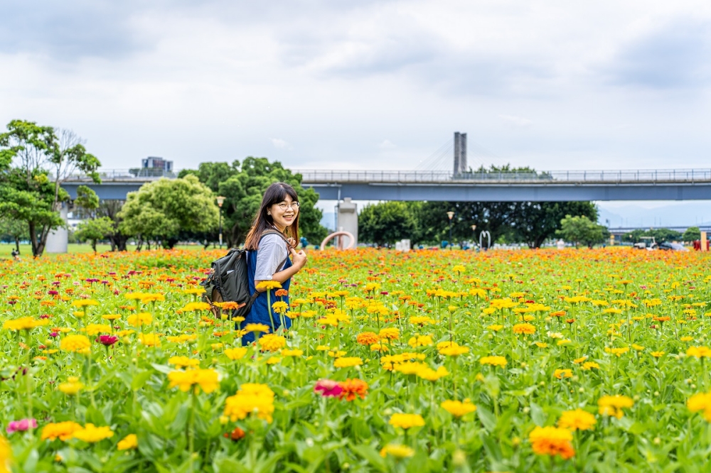 新北大都會公園