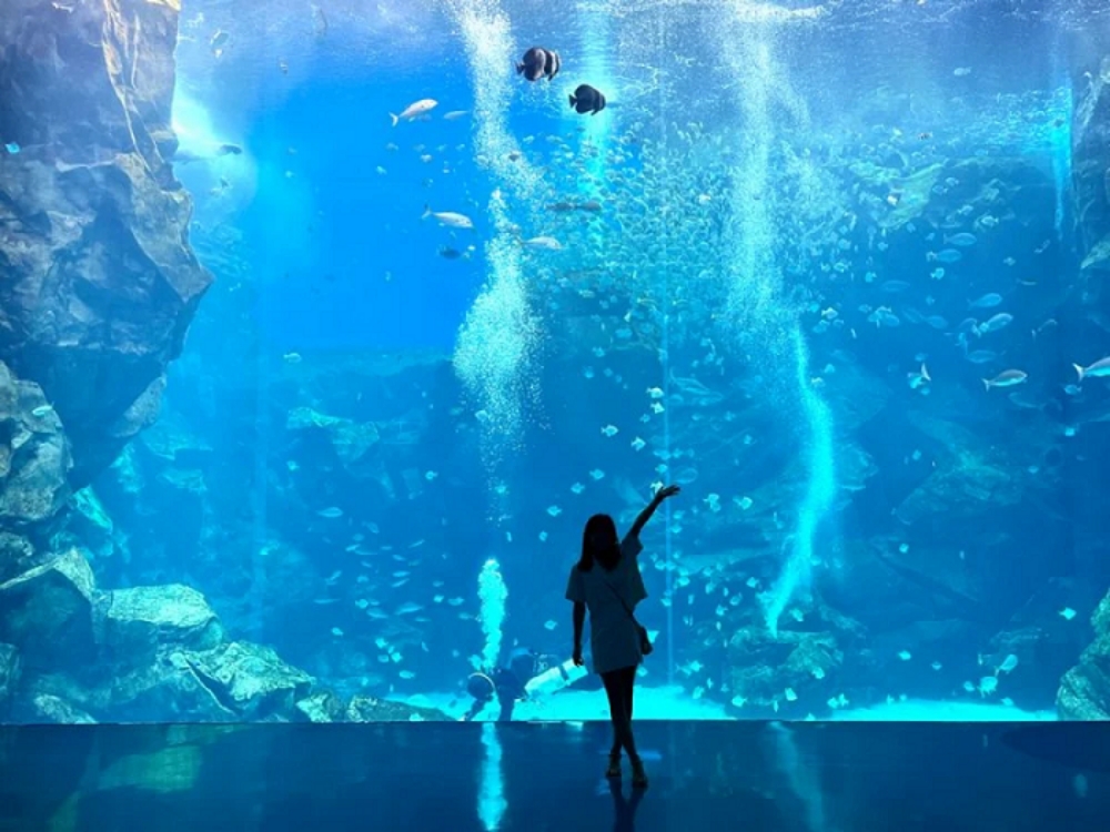 Xpark 水族館