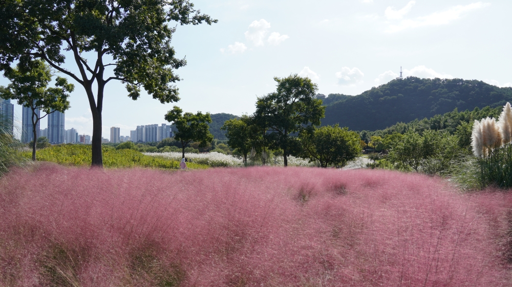 太和江國家庭園