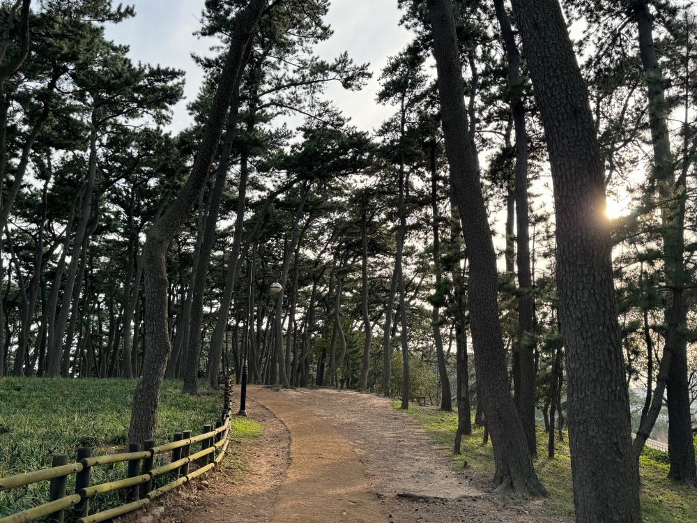 大王岩公園