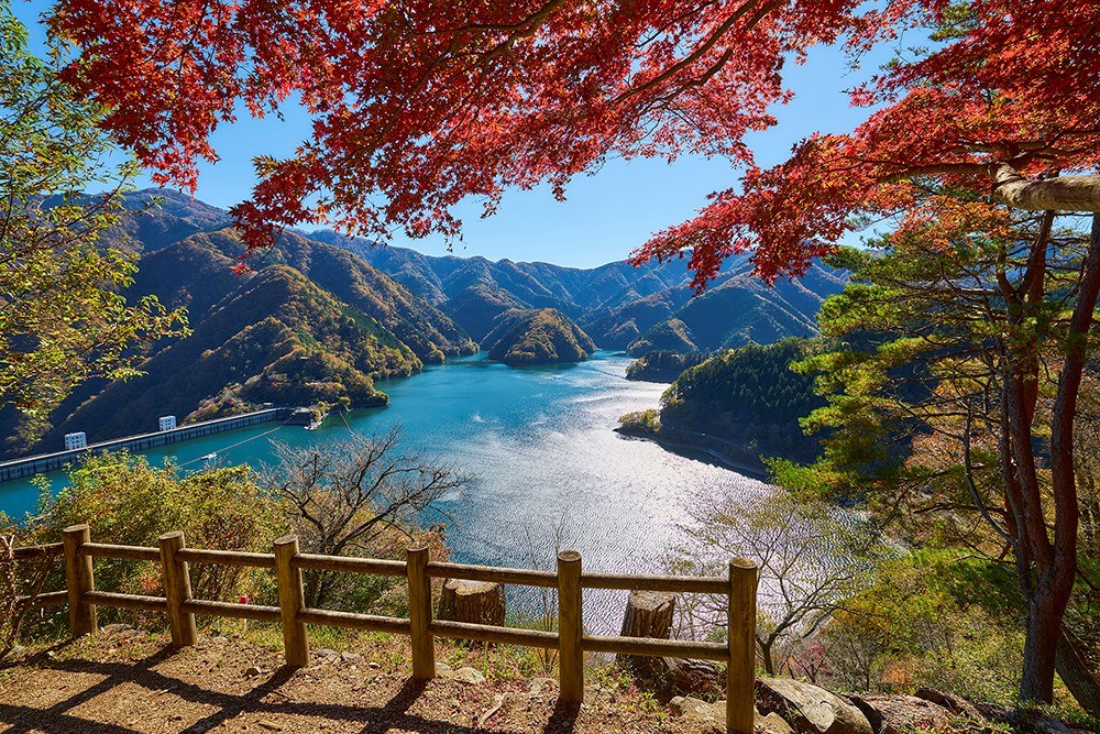 東京觀光財團