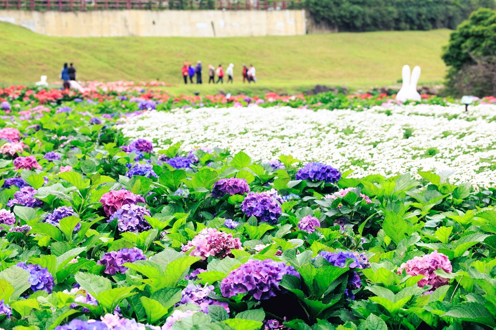 內湖大溪溝生態治水園區