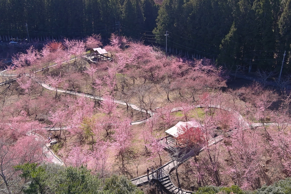 福壽山農場