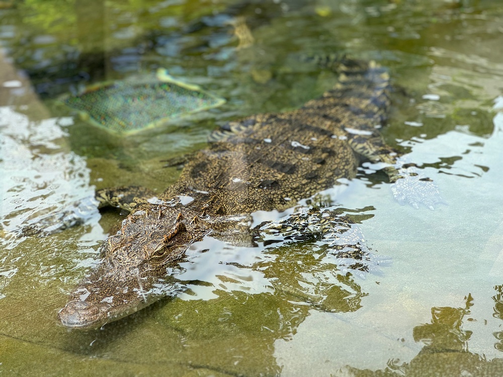 香港海洋公園