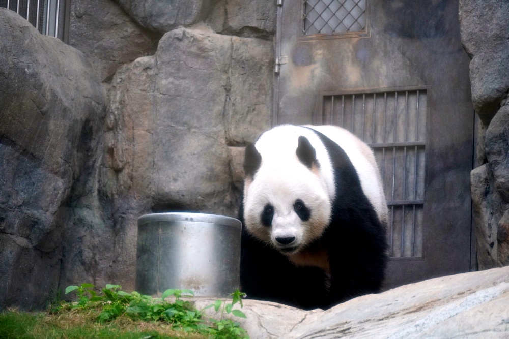 香港海洋公園